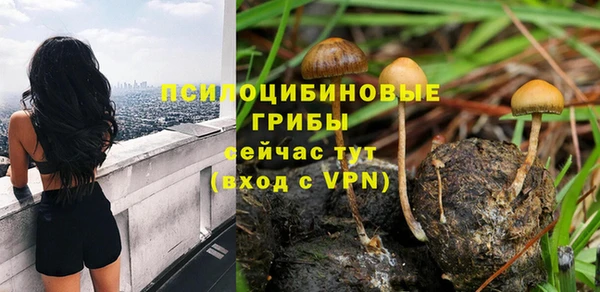бошки Армянск